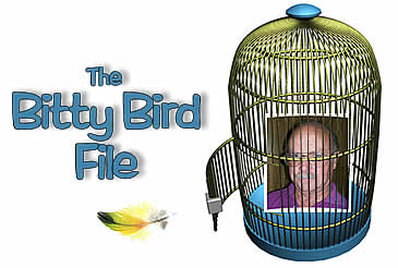 The Bitty Bird File